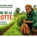 🇬🇳Agriculture : L’agronome Hawa Sidibé partage ses secrets pour réussir la culture de la carotte