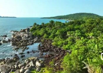 🇬🇳La Guinée, cœur vert de l’Afrique de l’Ouest