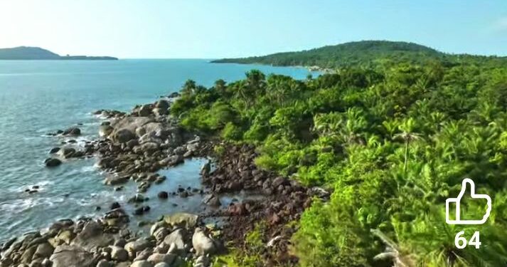 🇬🇳La Guinée, cœur vert de l’Afrique de l’Ouest