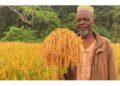 🇬🇳L’Union européenne intensifie ses actions pour la biodiversité en Guinée