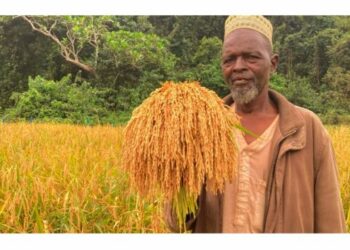 🇬🇳L’Union européenne intensifie ses actions pour la biodiversité en Guinée