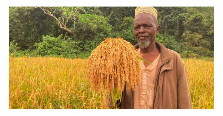 🇬🇳L’Union européenne intensifie ses actions pour la biodiversité en Guinée