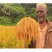 🇬🇳L’Union européenne intensifie ses actions pour la biodiversité en Guinée