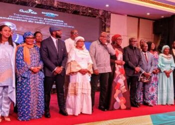 SIMANDOU 2040 : Guinée lance officiellement les projets du Pilier 1
