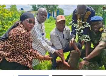🇬🇳Journée de reboisement à Kankan : l’Université Julius Nyerere s’engage pour l’environnement