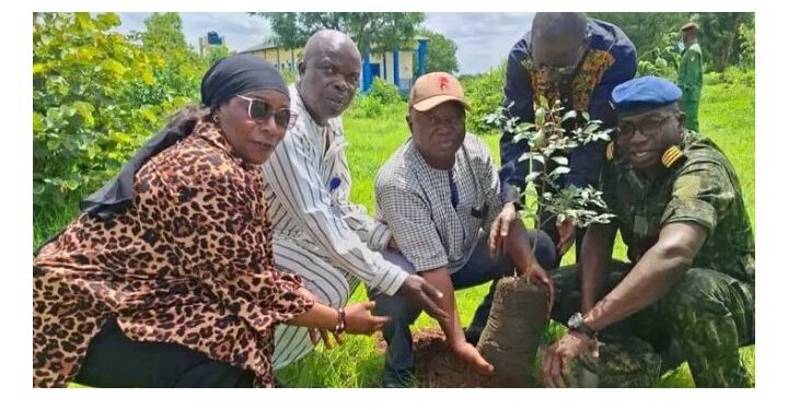 🇬🇳Journée de reboisement à Kankan : l’Université Julius Nyerere s’engage pour l’environnement