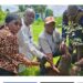 🇬🇳Journée de reboisement à Kankan : l’Université Julius Nyerere s’engage pour l’environnement