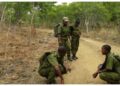 Conservation de la nature : La SADC forme des gestionnaires de la faune et des gardes forestiers