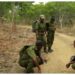 Conservation de la nature : La SADC forme des gestionnaires de la faune et des gardes forestiers
