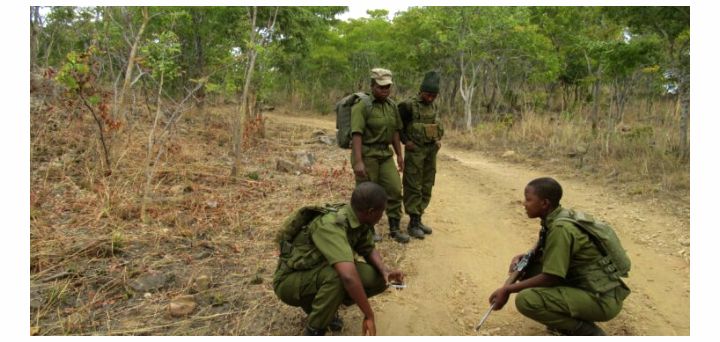 Conservation de la nature : La SADC forme des gestionnaires de la faune et des gardes forestiers