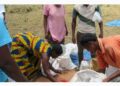 Sécurité alimentaire : L&rsquo;Afrique devient le continent le plus touché par la faim