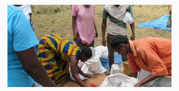 Sécurité alimentaire : L&rsquo;Afrique devient le continent le plus touché par la faim