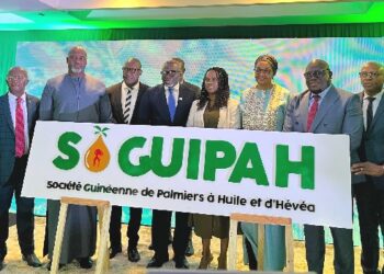 Guinée : La ministre Mariama Ciré Sylla lance le programme de relance et de modernisation de la SOGUIPAH