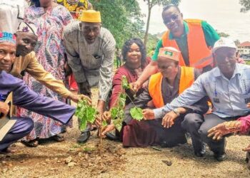 Conakry : La commune de Tombolia engage une ambitieuse campagne de reboisement dans la forêt d’Enta
