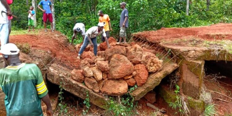🇬🇳Télimélé : Plus de 18 villages menacés d’isolement