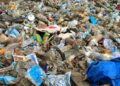 🇬🇳Guinée : Gestion des déchets, un enjeu vital pour nos communautés