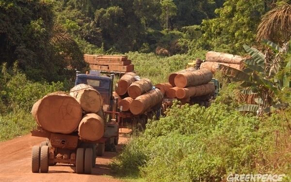 🇬🇳Guinée : Les artisans face aux effets du repos biologique