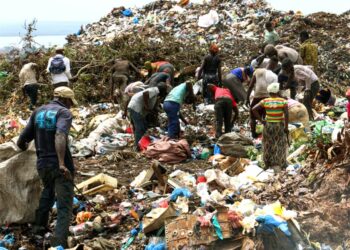 🇬🇳Matoto lance des opérations d’assainissement avant les grandes pluies