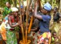 🇬🇳Gestion des huiles de friture : Une filière en construction en Guinée