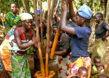 🇬🇳Gestion des huiles de friture : Une filière en construction en Guinée
