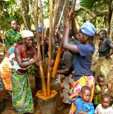 🇬🇳Gestion des huiles de friture : Une filière en construction en Guinée