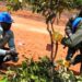 đŹđłENVIRONNEMENT : La GuinĂ©e valide 18 projets communautaires financĂ©s par le FEM pour protĂ©ger la nature