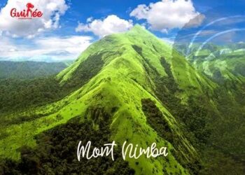 🇬🇳Protection des Monts Nimba : Un accord tripartite décisif