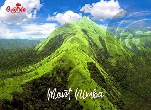 🇬🇳Protection des Monts Nimba : Un accord tripartite décisif