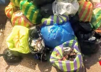 🇬🇳Ministère de l’Environnement : La ministre insiste sur l’application stricte du décret contre les plastiques à usage unique