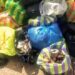 🇬🇳Ministère de l’Environnement : La ministre insiste sur l’application stricte du décret contre les plastiques à usage unique