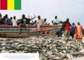 🇬🇳PÊCHE ARTISANALE : Le port de Kaporo accueille le lancement des sessions d’explication des textes des associations locales