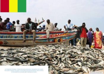 🇬🇳PÊCHE ARTISANALE : Le port de Kaporo accueille le lancement des sessions d’explication des textes des associations locales