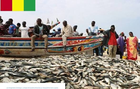 🇬🇳PÊCHE ARTISANALE : Le port de Kaporo accueille le lancement des sessions d’explication des textes des associations locales