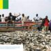 🇬🇳PÊCHE ARTISANALE : Le port de Kaporo accueille le lancement des sessions d’explication des textes des associations locales