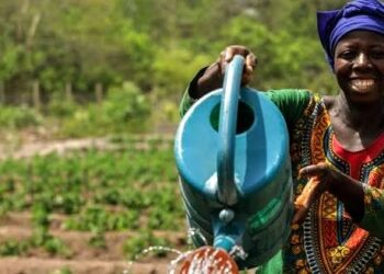 Guinée : L’agriculture au cœur du nouveau partenariat avec la Banque mondiale