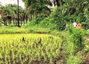 Résilience climatique : L’IGAD renforce ses liens avec l’Allemagne