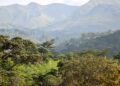 🇬🇳Protection des Monts Nimba : L’Union européenne lance un plan de 2,5 M€