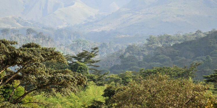 🇬🇳Protection des Monts Nimba : L’Union européenne lance un plan de 2,5 M€