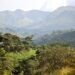 🇬🇳Protection des Monts Nimba : L’Union européenne lance un plan de 2,5 M€