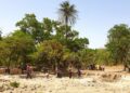 🇬🇳Kaloum accueille la Guinée écologique : La FOTEC lance sa première édition