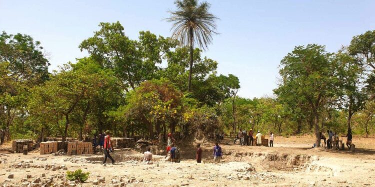 🇬🇳Kaloum accueille la Guinée écologique : La FOTEC lance sa première édition